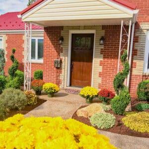 Dream-Greener-Lawn