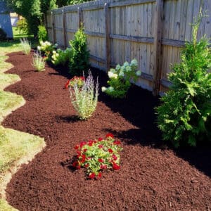 Can Too Much Mulch Kill Plants?